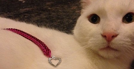 charlie_valentine - small.jpg