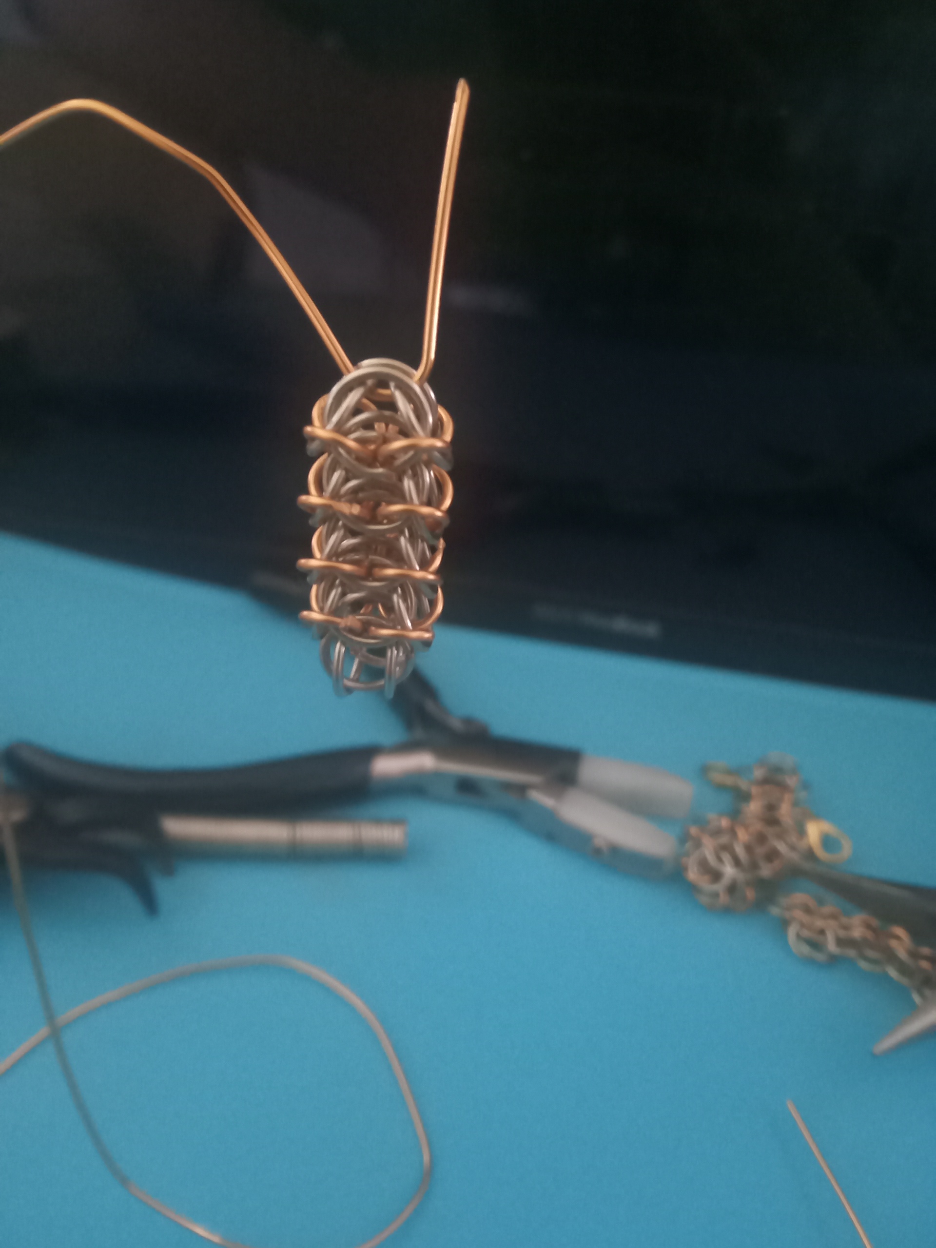 Lobbder_Tube_Closeup.jpg