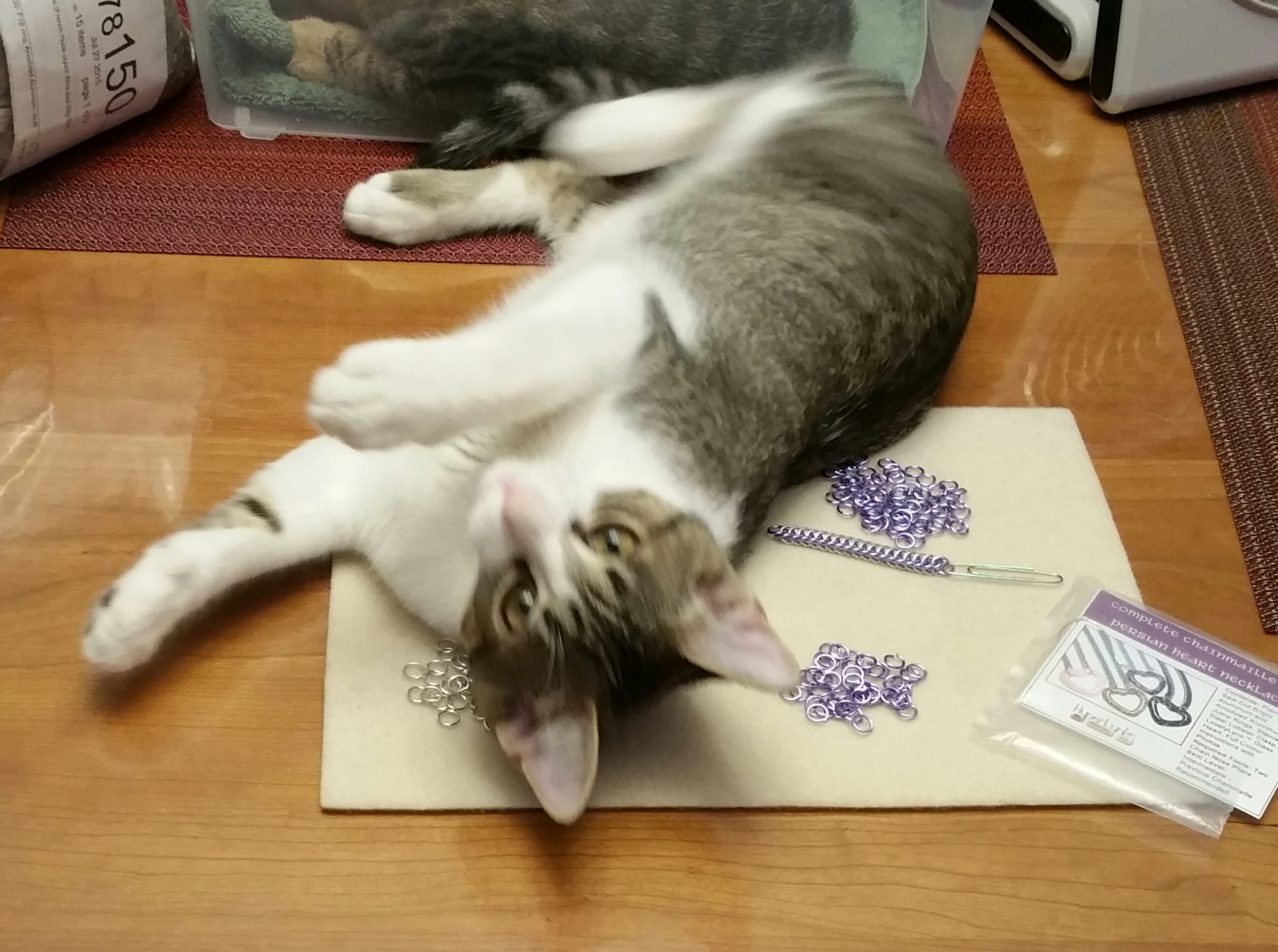rolling widget.jpg