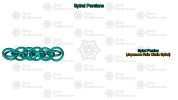 Spiral Persian Overview.jpg